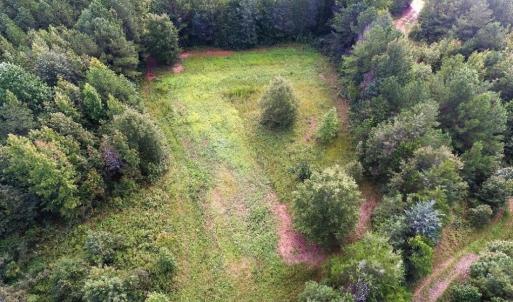 Photo of UNDER CONTRACT!  37 Acres of Hunting and Recreational Land For Sale in Brunswick County VA!