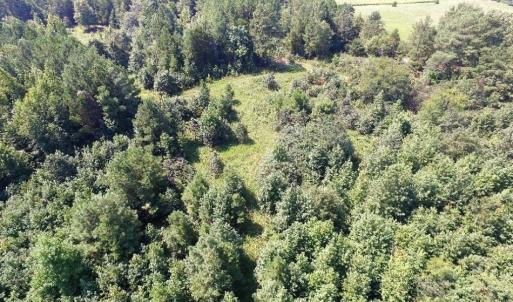 Photo of UNDER CONTRACT!  37 Acres of Hunting and Recreational Land For Sale in Brunswick County VA!