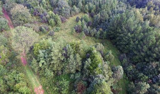 Photo of UNDER CONTRACT!  37 Acres of Hunting and Recreational Land For Sale in Brunswick County VA!