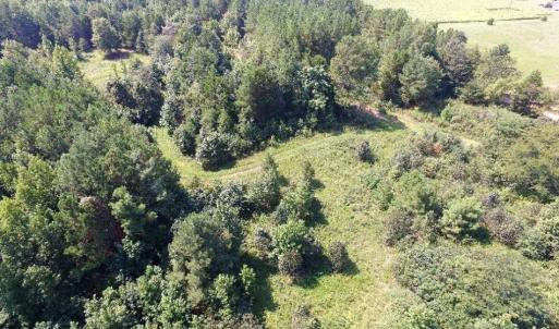 Photo of UNDER CONTRACT!  37 Acres of Hunting and Recreational Land For Sale in Brunswick County VA!