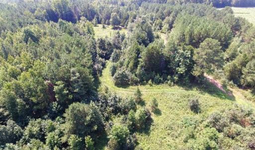 Photo of UNDER CONTRACT!  37 Acres of Hunting and Recreational Land For Sale in Brunswick County VA!