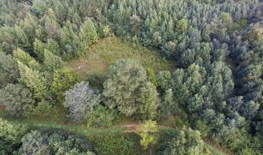 Photo of UNDER CONTRACT!  37 Acres of Hunting and Recreational Land For Sale in Brunswick County VA!