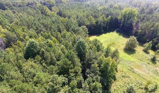 Photo of UNDER CONTRACT!  37 Acres of Hunting and Recreational Land For Sale in Brunswick County VA!