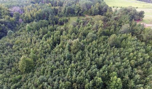 Photo of UNDER CONTRACT!  37 Acres of Hunting and Recreational Land For Sale in Brunswick County VA!