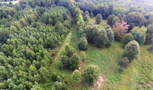 Photo of UNDER CONTRACT!  37 Acres of Hunting and Recreational Land For Sale in Brunswick County VA!