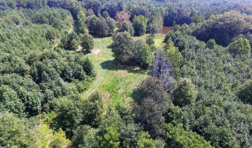 Photo of UNDER CONTRACT!  37 Acres of Hunting and Recreational Land For Sale in Brunswick County VA!