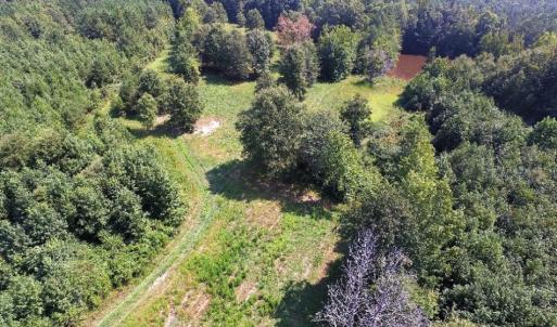 Photo of UNDER CONTRACT!  37 Acres of Hunting and Recreational Land For Sale in Brunswick County VA!