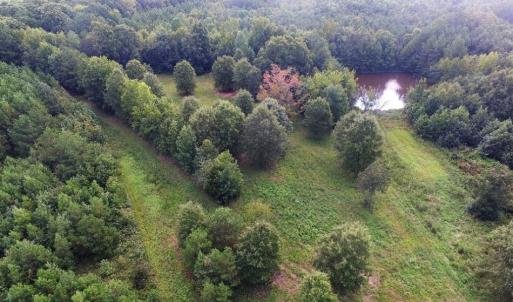 Photo of UNDER CONTRACT!  37 Acres of Hunting and Recreational Land For Sale in Brunswick County VA!