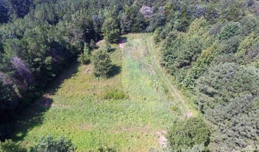 Photo of UNDER CONTRACT!  37 Acres of Hunting and Recreational Land For Sale in Brunswick County VA!
