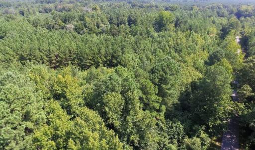 Photo of UNDER CONTRACT!  37 Acres of Hunting and Recreational Land For Sale in Brunswick County VA!