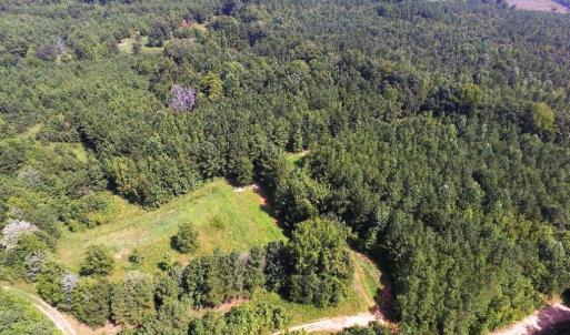 Photo of UNDER CONTRACT!  37 Acres of Hunting and Recreational Land For Sale in Brunswick County VA!