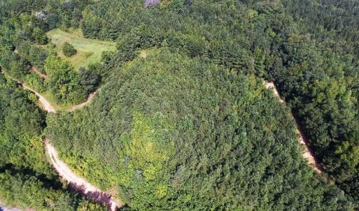 Photo of UNDER CONTRACT!  37 Acres of Hunting and Recreational Land For Sale in Brunswick County VA!