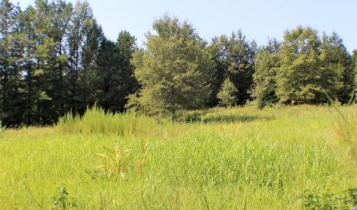 Photo of UNDER CONTRACT!  37 Acres of Hunting and Recreational Land For Sale in Brunswick County VA!