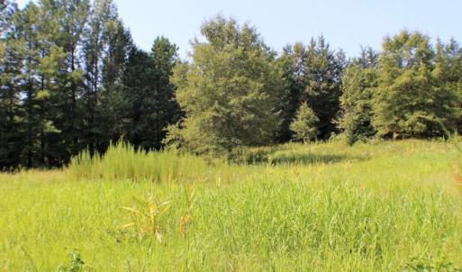 Photo of UNDER CONTRACT!  37 Acres of Hunting and Recreational Land For Sale in Brunswick County VA!