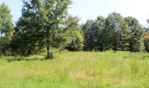 Photo of UNDER CONTRACT!  37 Acres of Hunting and Recreational Land For Sale in Brunswick County VA!