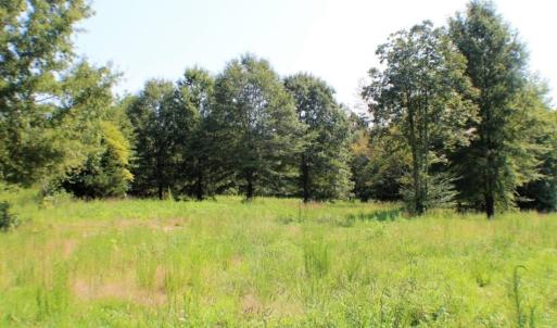 Photo of UNDER CONTRACT!  37 Acres of Hunting and Recreational Land For Sale in Brunswick County VA!