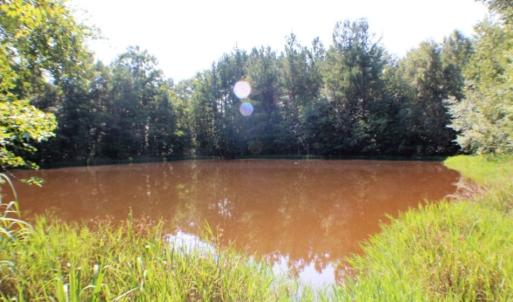Photo of UNDER CONTRACT!  37 Acres of Hunting and Recreational Land For Sale in Brunswick County VA!