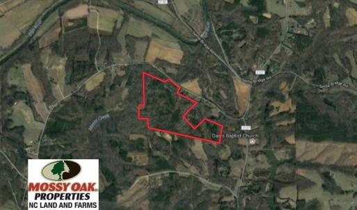 Photo of SOLD!  81.57 Acres of Prime Hunting and Investment Land For Sale in Rockingham County NC!