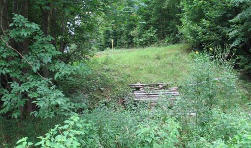 Photo of SOLD!  81.57 Acres of Prime Hunting and Investment Land For Sale in Rockingham County NC!