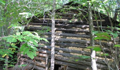 Photo of SOLD!  81.57 Acres of Prime Hunting and Investment Land For Sale in Rockingham County NC!