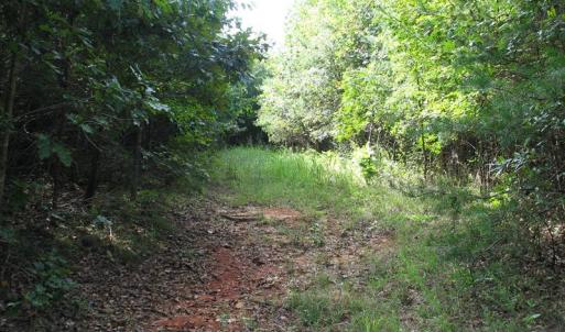 Photo of SOLD!  81.57 Acres of Prime Hunting and Investment Land For Sale in Rockingham County NC!