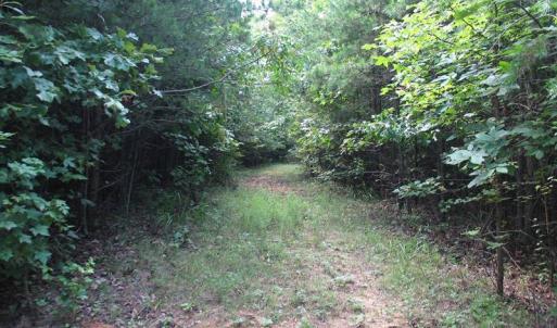 Photo of SOLD!  81.57 Acres of Prime Hunting and Investment Land For Sale in Rockingham County NC!