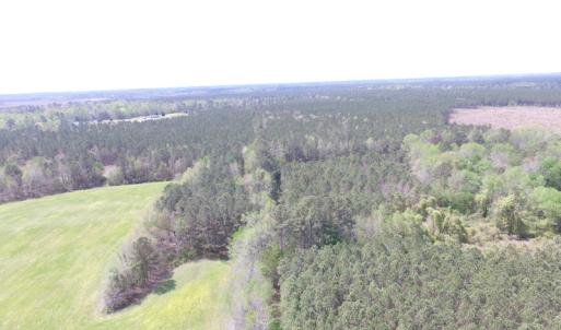 Photo of UNDER CONTRACT!  15 Acres of Hunting and Investment Land For Sale in Suffolk VA!