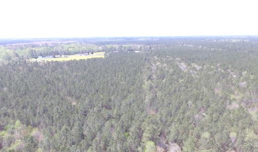 Photo of UNDER CONTRACT!  15 Acres of Hunting and Investment Land For Sale in Suffolk VA!