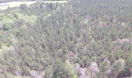 Photo of UNDER CONTRACT!  15 Acres of Hunting and Investment Land For Sale in Suffolk VA!