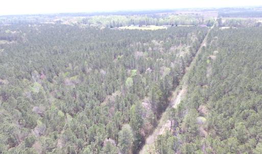 Photo of UNDER CONTRACT!  15 Acres of Hunting and Investment Land For Sale in Suffolk VA!
