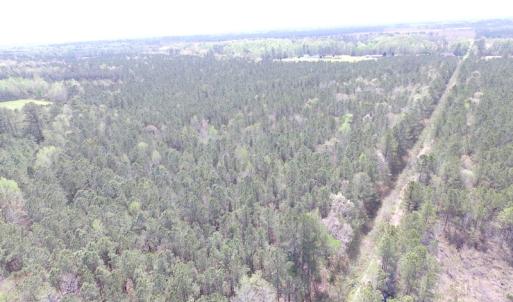 Photo of UNDER CONTRACT!  15 Acres of Hunting and Investment Land For Sale in Suffolk VA!