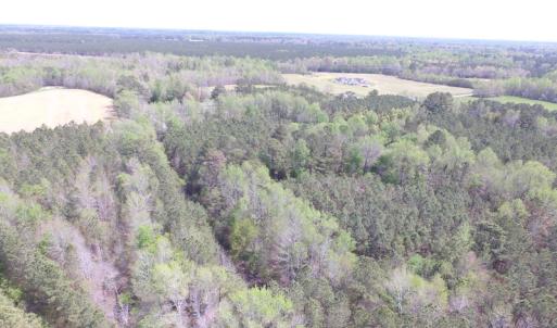 Photo of UNDER CONTRACT!  15 Acres of Hunting and Investment Land For Sale in Suffolk VA!