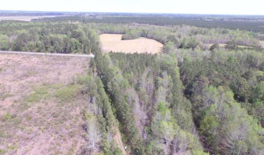 Photo of UNDER CONTRACT!  15 Acres of Hunting and Investment Land For Sale in Suffolk VA!