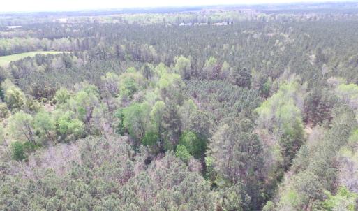 Photo of UNDER CONTRACT!  15 Acres of Hunting and Investment Land For Sale in Suffolk VA!