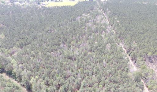 Photo of UNDER CONTRACT!  15 Acres of Hunting and Investment Land For Sale in Suffolk VA!