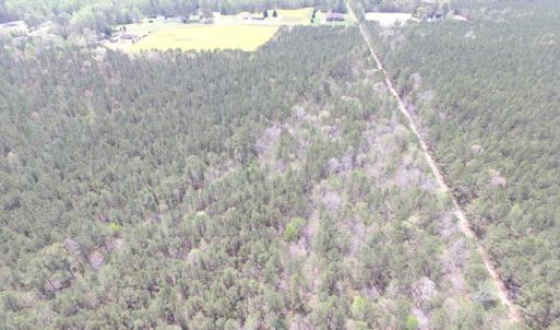 Photo of UNDER CONTRACT!  15 Acres of Hunting and Investment Land For Sale in Suffolk VA!