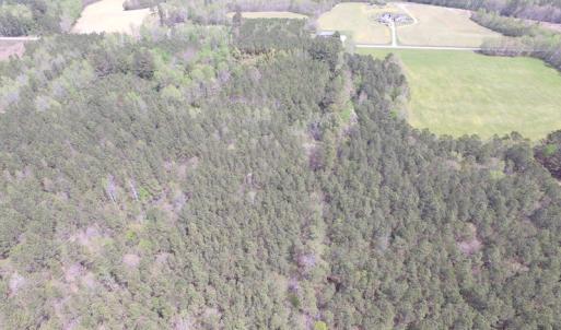 Photo of UNDER CONTRACT!  15 Acres of Hunting and Investment Land For Sale in Suffolk VA!
