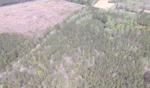 Photo of UNDER CONTRACT!  15 Acres of Hunting and Investment Land For Sale in Suffolk VA!