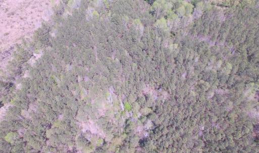 Photo of UNDER CONTRACT!  15 Acres of Hunting and Investment Land For Sale in Suffolk VA!