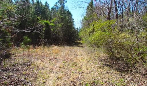 Photo of UNDER CONTRACT!  15 Acres of Hunting and Investment Land For Sale in Suffolk VA!