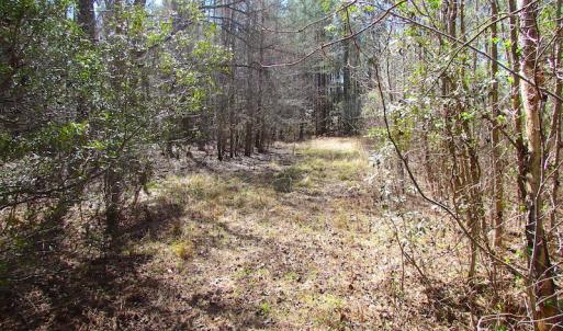 Photo of UNDER CONTRACT!  15 Acres of Hunting and Investment Land For Sale in Suffolk VA!
