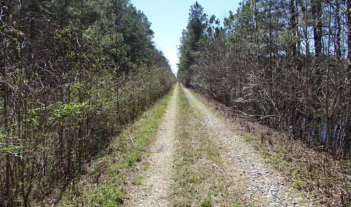 Photo of UNDER CONTRACT!  15 Acres of Hunting and Investment Land For Sale in Suffolk VA!