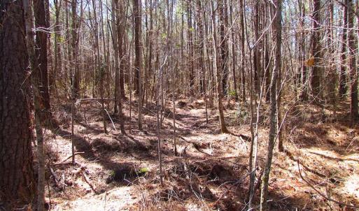 Photo of UNDER CONTRACT!  15 Acres of Hunting and Investment Land For Sale in Suffolk VA!