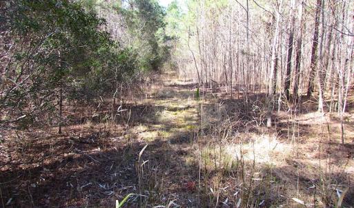 Photo of UNDER CONTRACT!  15 Acres of Hunting and Investment Land For Sale in Suffolk VA!