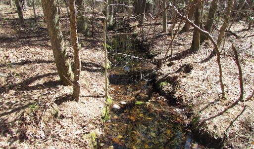 Photo of UNDER CONTRACT!  15 Acres of Hunting and Investment Land For Sale in Suffolk VA!
