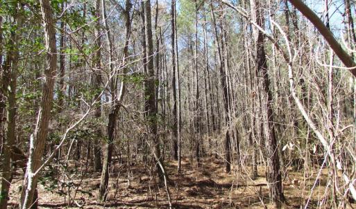 Photo of UNDER CONTRACT!  15 Acres of Hunting and Investment Land For Sale in Suffolk VA!