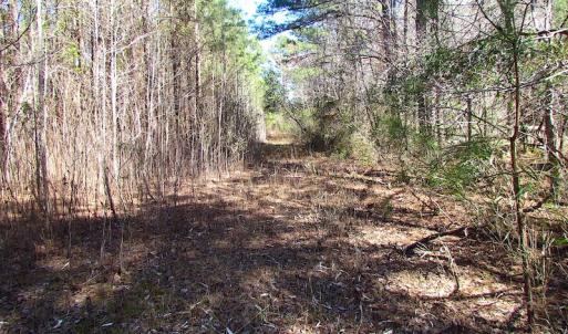 Photo of UNDER CONTRACT!  15 Acres of Hunting and Investment Land For Sale in Suffolk VA!
