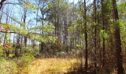 Photo of UNDER CONTRACT!  15 Acres of Hunting and Investment Land For Sale in Suffolk VA!