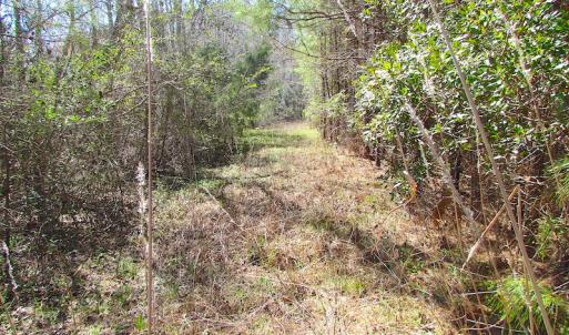 Photo of UNDER CONTRACT!  15 Acres of Hunting and Investment Land For Sale in Suffolk VA!