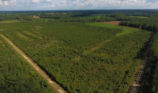 Photo of PENDING!  57.3 Acres of Timber and Farm Land For Sale in Wilson County NC!